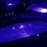 Bdsm Red Room Apartment